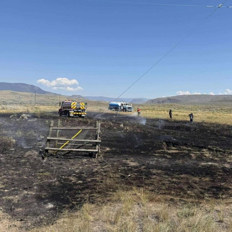 60e4fd52 3e32 4a25 8e05 60e29a2ee68a file.jpg