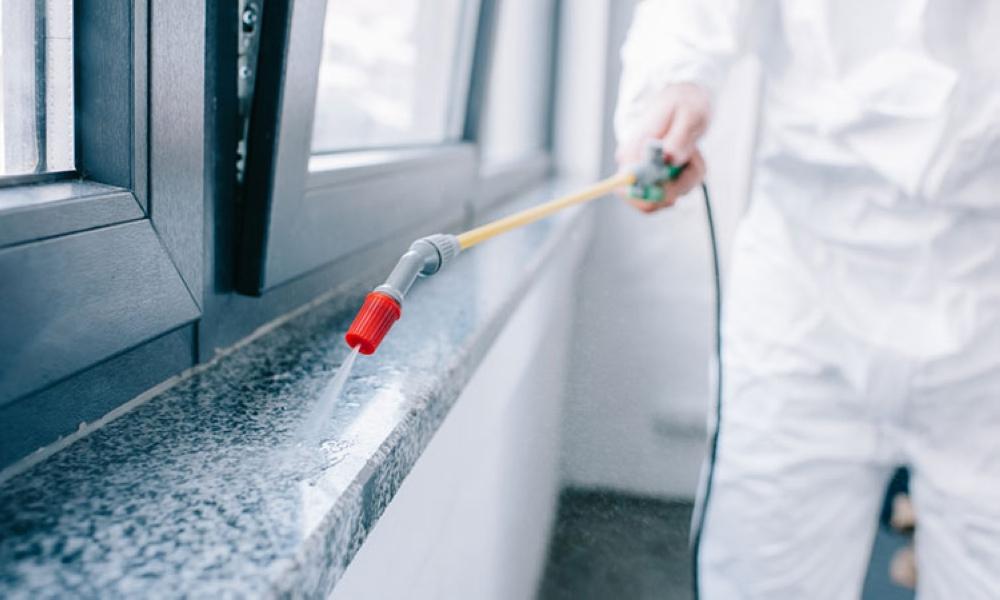 611ce7ad 757e 4681 a912 37742aaadb04 file.jpg