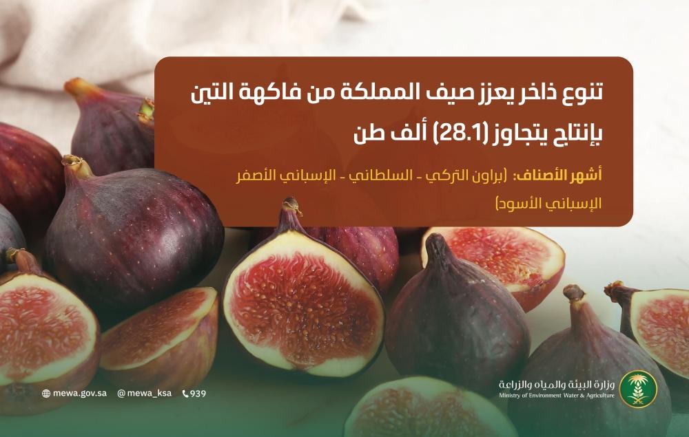 62c0e865 cd93 493c 928c 112e004a9dda file.jpg