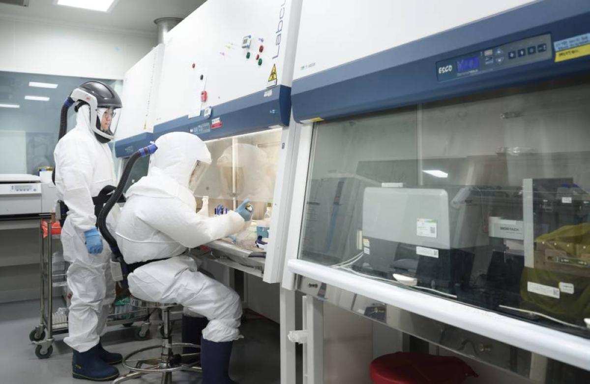 6364a06a d9d8 4efc bf22 972f5e01c484 file.jpg