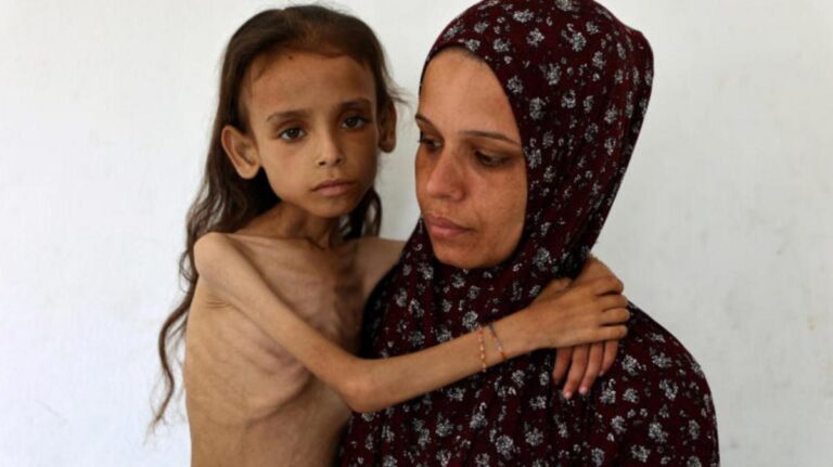 639d83e4 0cd5 45bf 9d6d 7b4853cda898 file.jpg