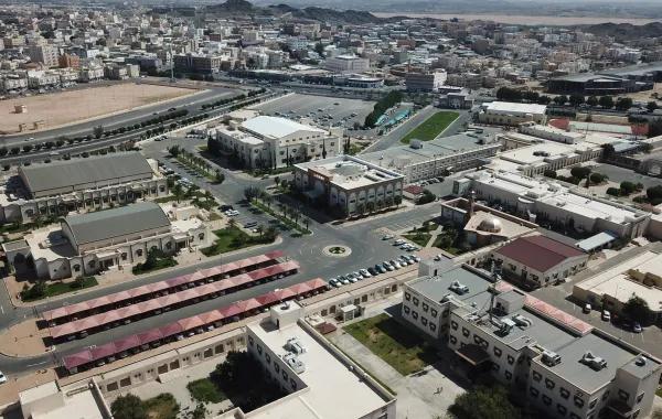 67344474 c592 4a47 a8f1 7afe264c465c file.jpg