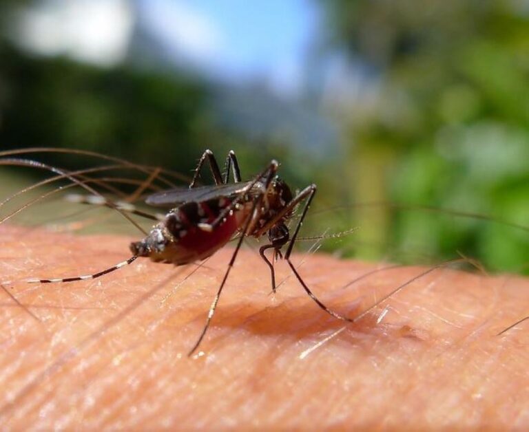 69439f0a 853d 4800 8ba1 43f18b480ce2 file.jpg