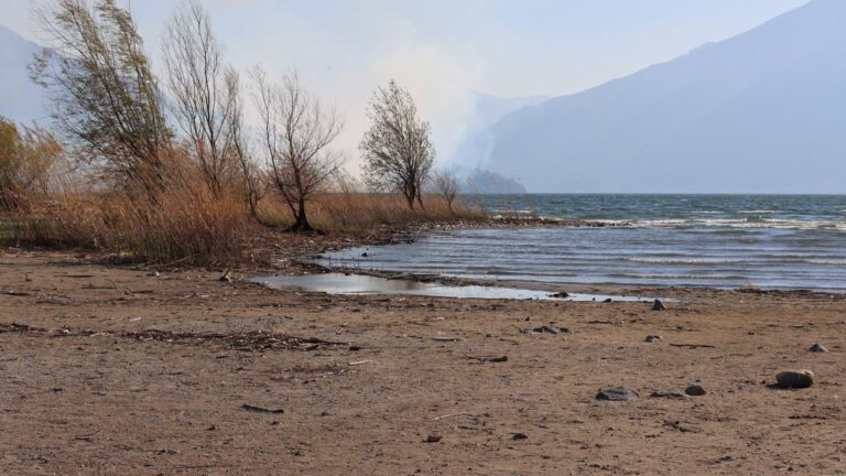 6e56dccf 5b93 4af3 b3cc 4aeadacb968e file.jpg