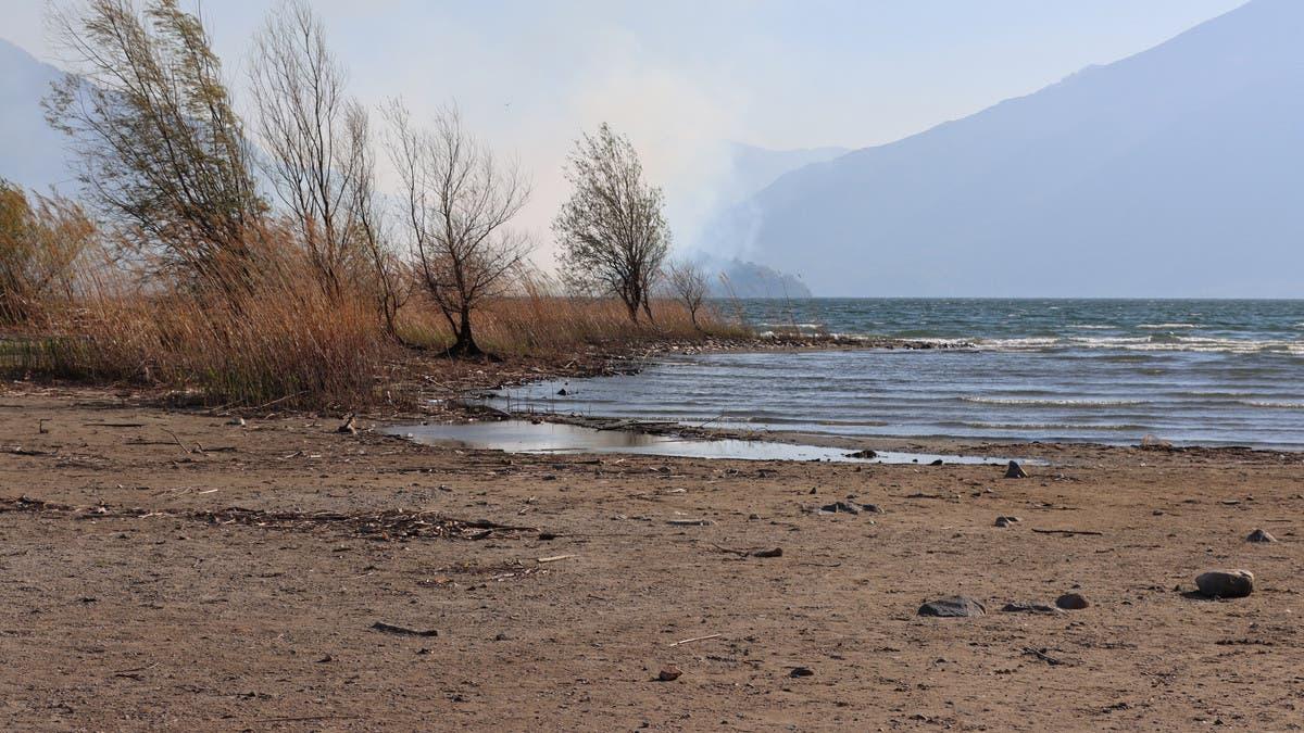 6e56dccf 5b93 4af3 b3cc 4aeadacb968e file.jpg