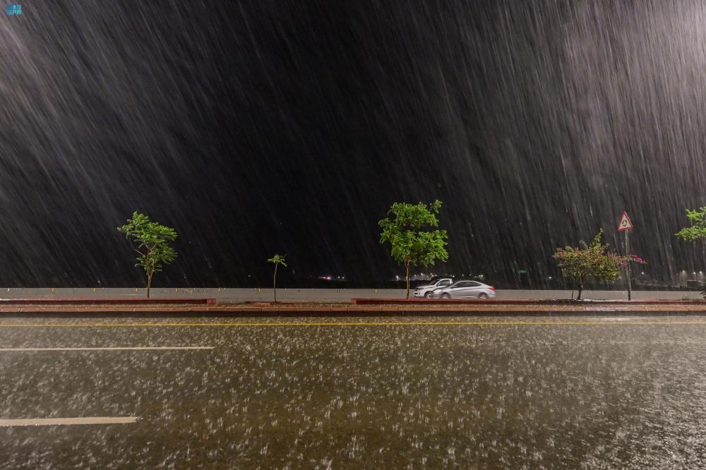 6f70002f 43ba 4947 aff5 d2e032f8bd7e file.jpg