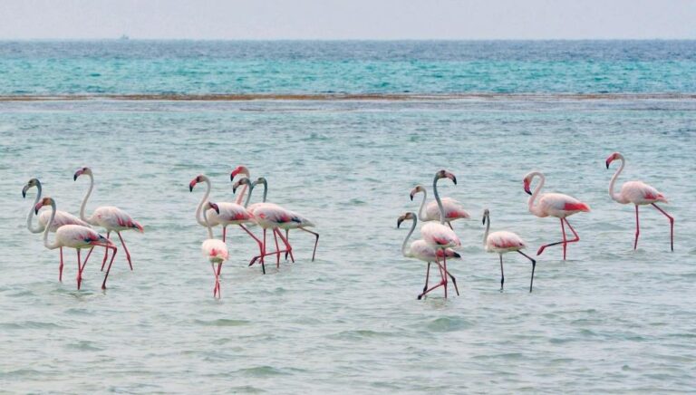 6f726fab 5af3 4bcb bc7b 5acc2b8fafc3 file.jpg