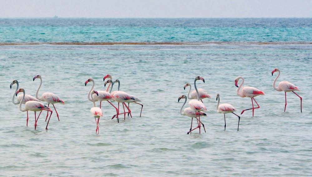 6f726fab 5af3 4bcb bc7b 5acc2b8fafc3 file.jpg