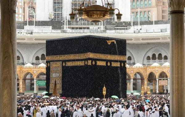 74802cbd 725a 4bd3 818b ab8c9db82d1d file.jpg