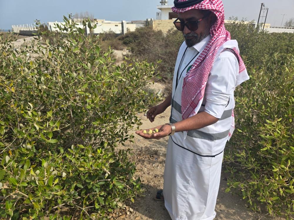 753a519e ebf0 4577 af91 0cc4c6365594 file.jpg