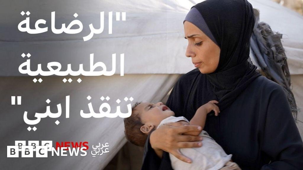 79bac771 2a1d 468c 910e e9308cfebe39 file.jpg