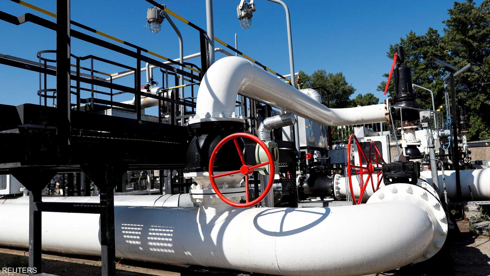 7a283239 0aa5 42a7 86ab e11c8b26020d file.jpeg