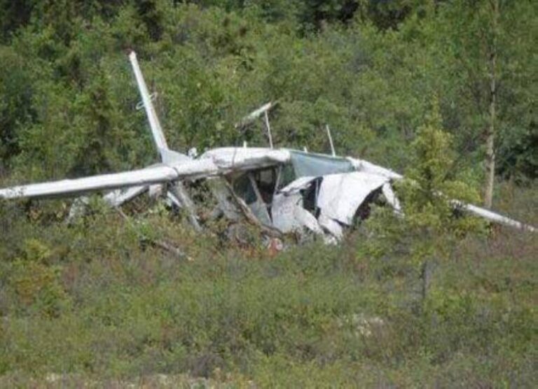 7a33234d 2ba6 4294 a29e e84ce047f0ea file.jpg