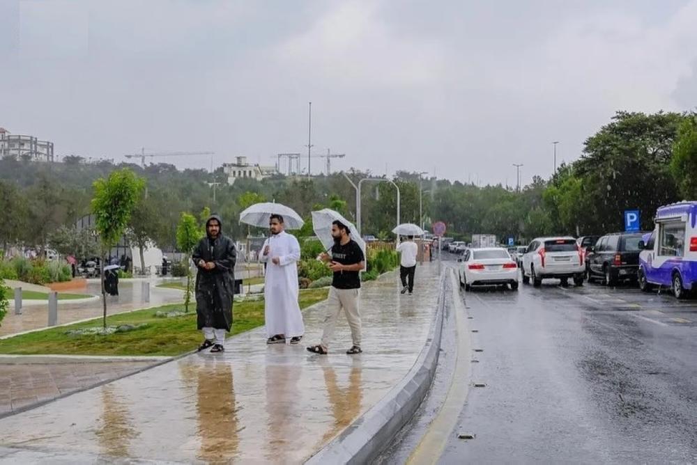 7b197a82 3fac 4003 9a39 32a0ea5314f4 file.jpg