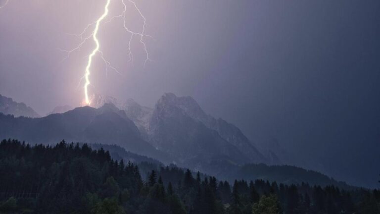 7cd82556 c459 4f5e bd2b 09fe2f1deaa0 file.jpg