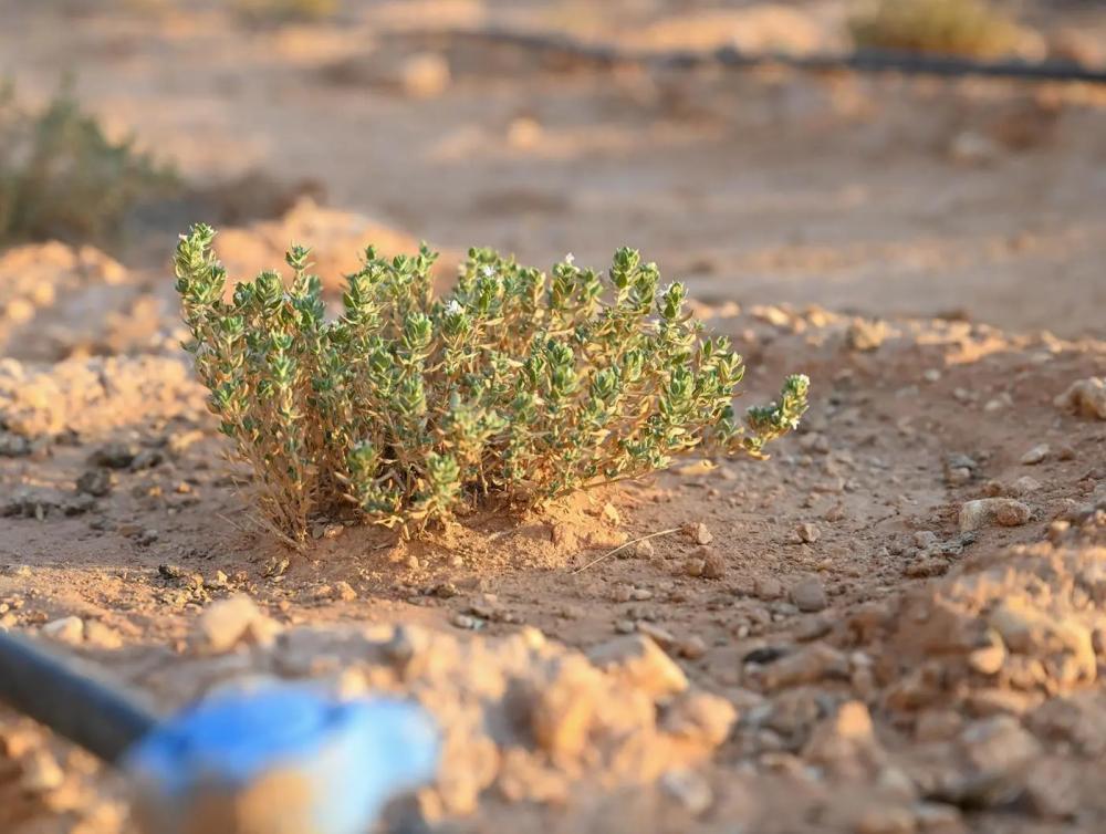 7e31fe92 7e12 42d5 ab6e 3f1a405bcb16 file.jpg