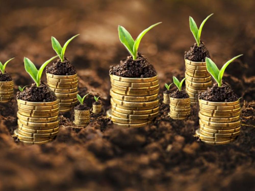 81197ceb a292 4635 a81b 0477a033130e file.jpg