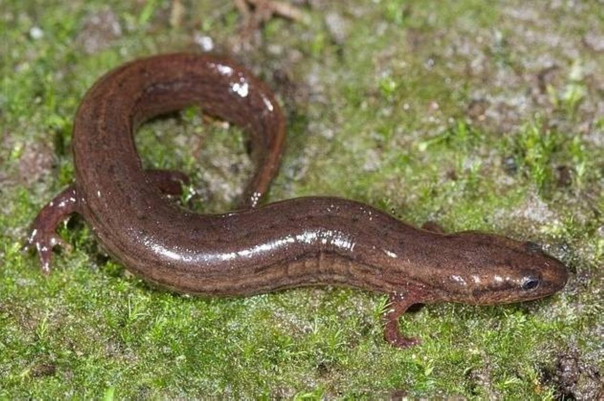 8325251a 37de 4f93 8b4f 79765a42bb94 file.jpg