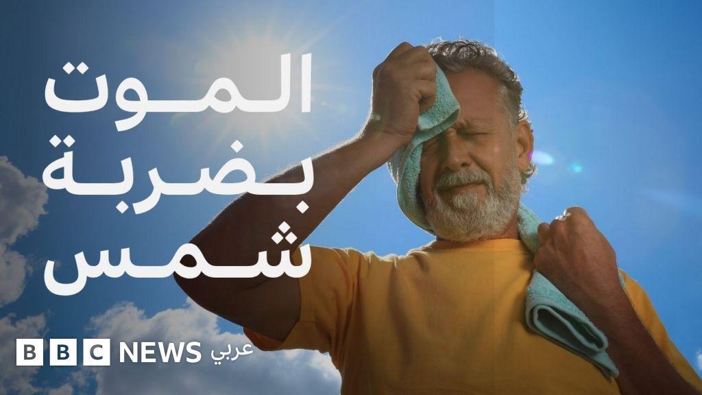 833cf32a 1347 4d92 b070 7b97c1a74a52 file.jpg