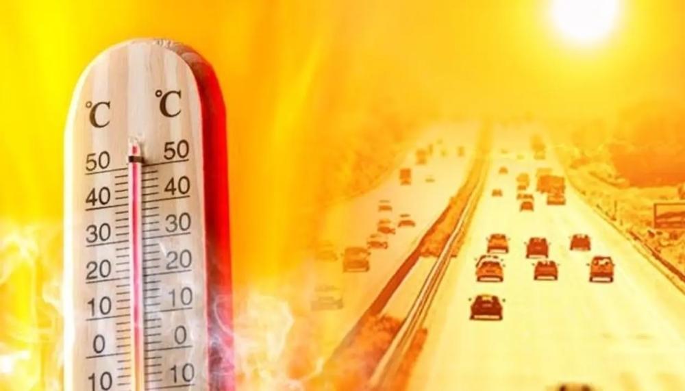 83f582e7 f212 48ab ab06 2b0355eb6bd9 file.jpg