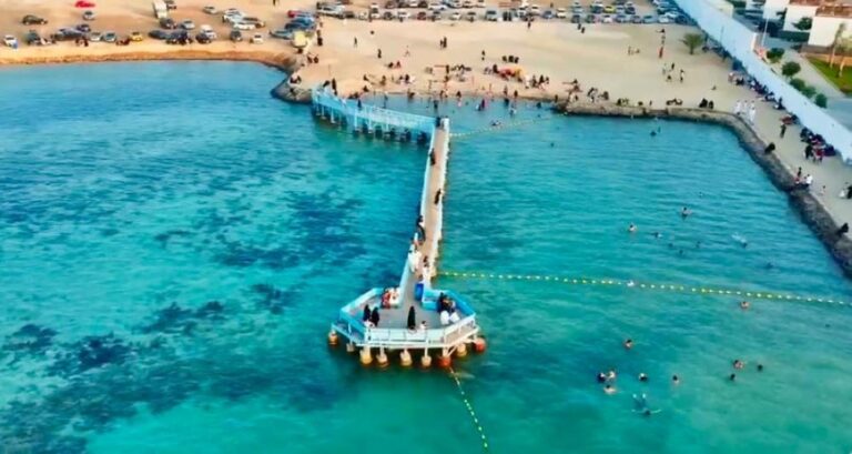 847d6b82 1c16 4d70 97f0 4d6ad47e27d6 file.jpg