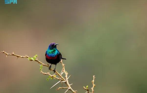 868a9de4 7ec8 4da7 9151 4f5d7b1aa449 file.jpg