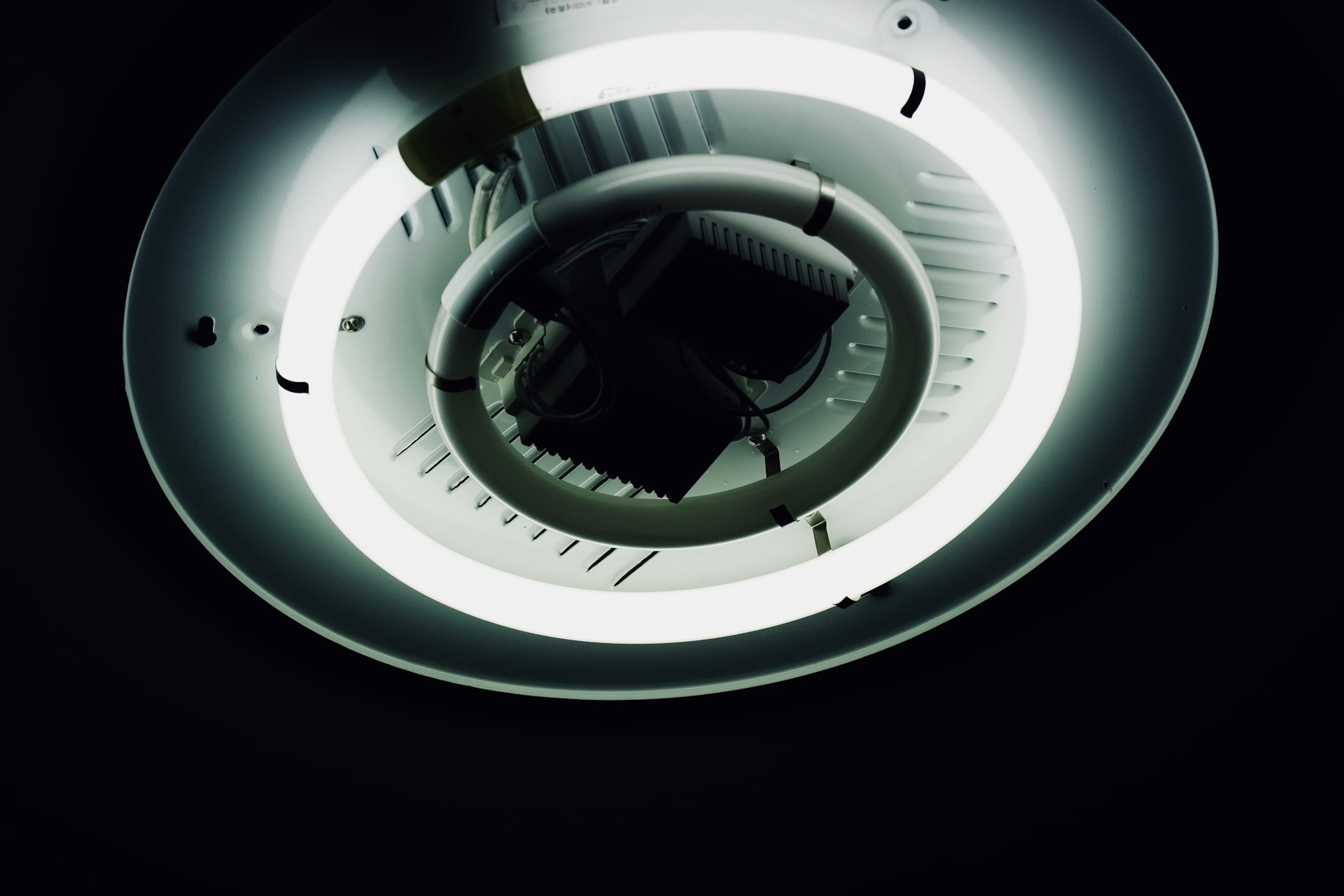 86d9a4bd 533b 4886 9802 9b03f2ce6d1c