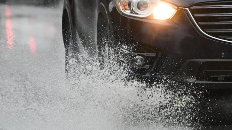 8777be4f 50dc 47fc 8138 e915c91d0cf5 file.jpg