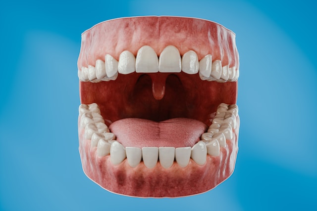 8dcbee46 8107 4deb 87e5 e04d0115fd3e