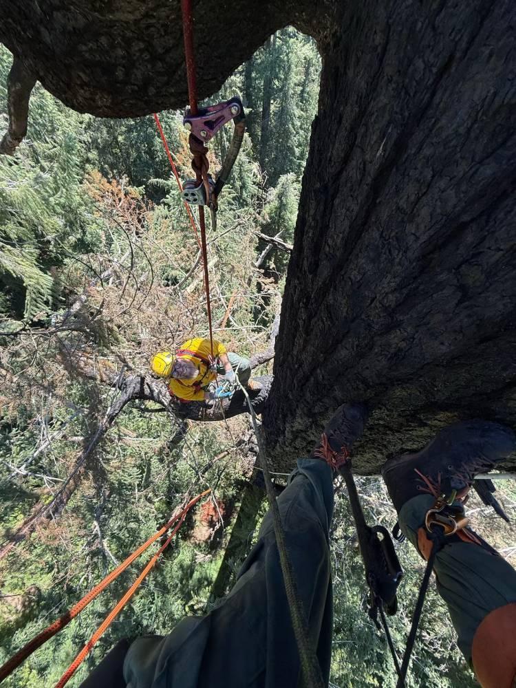 9036c6de a061 45ac 94c9 fb27967e14f8 file.jpg