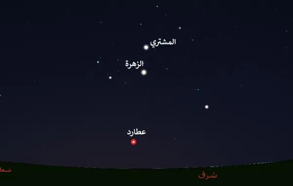 9173f41c e654 49cf 890c e0cba3ef1b82 file.jpg