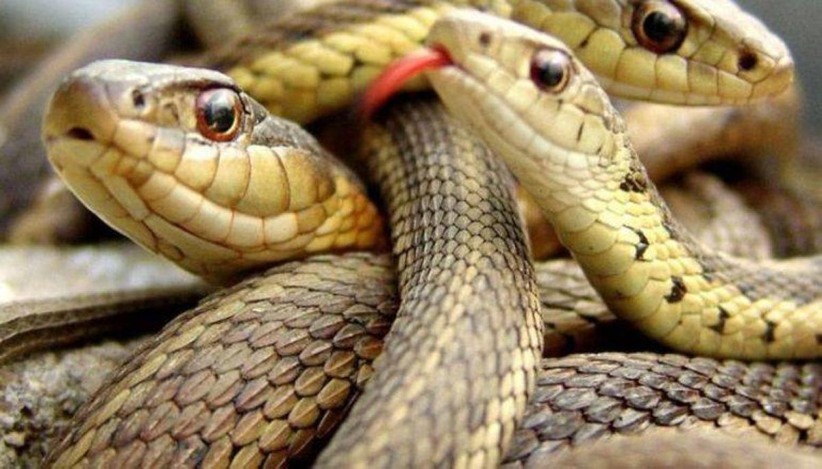 928a7bc4 d814 4b8c b487 397dd3030a5a file.jpg