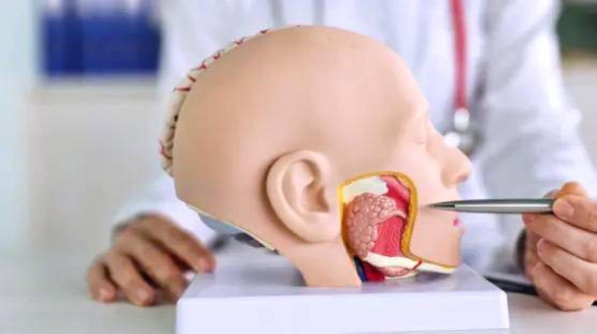 932aa73a 4d25 4284 b405 2a253e27d50b file.jpg