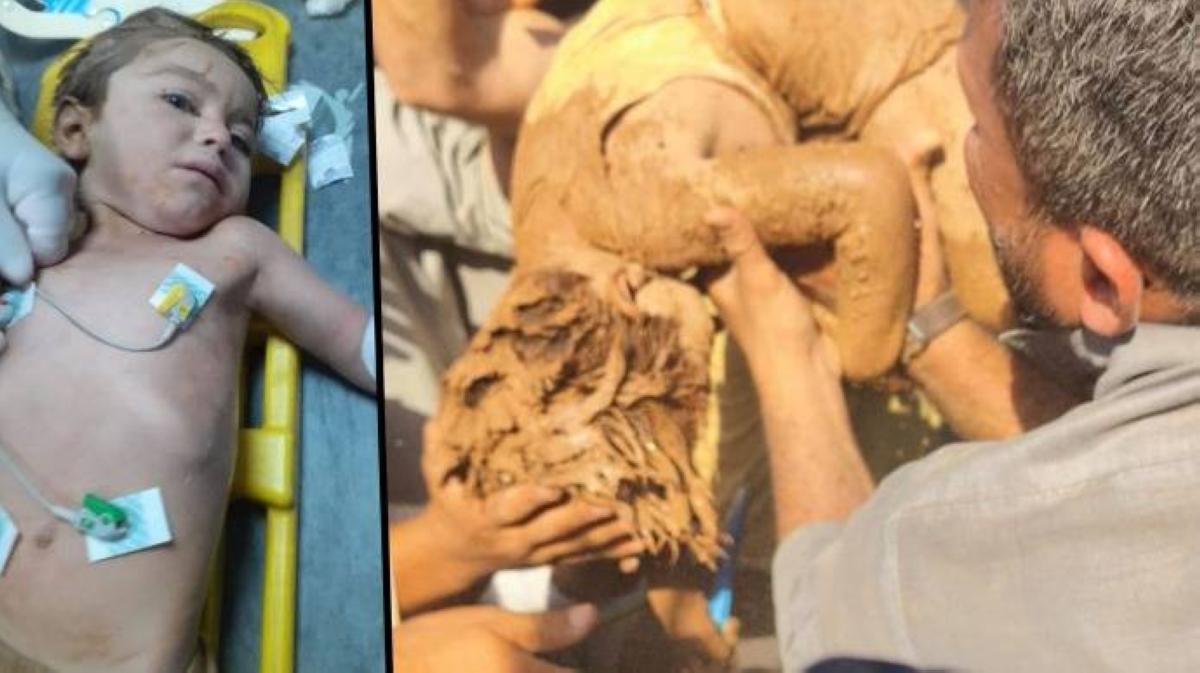 97016d81 6d9d 42ce 85fb c57d11e3e267 file.jpg