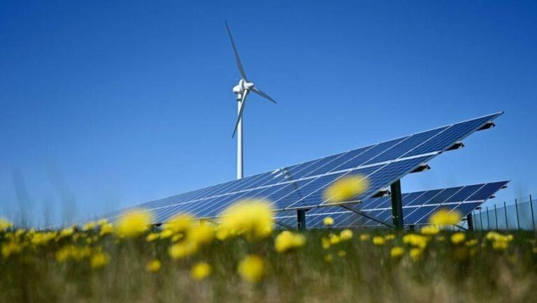 9bd35b4d 27ef 4d35 890a f19cd7d2f17d file.jpg