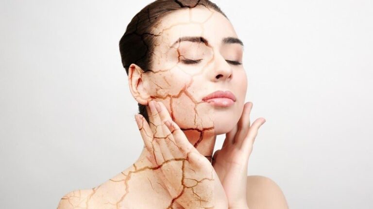 9c133826 7f9c 4cf5 98b2 d1c0f80ea716 file.jpg