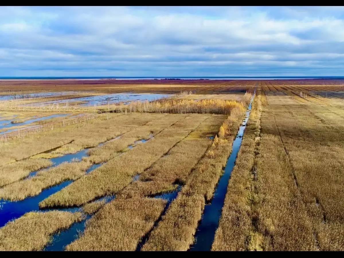 9ddd21fd e2f8 4549 884b 6a9d5a158366 file.jpg