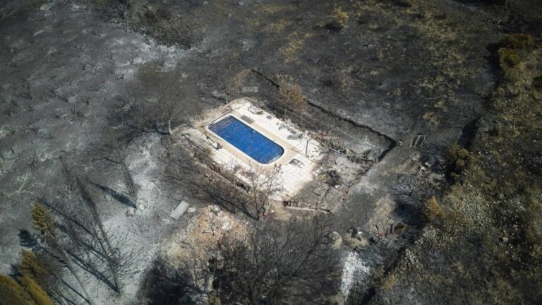 A4300eb8 ade9 48e1 8c88 c78d736868e7 file.jpg