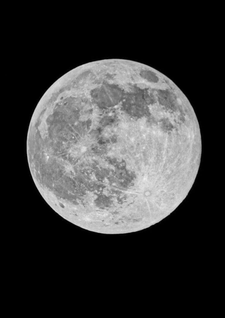 A6098381 831e 49e6 905e fb1d6df1c412 file.jpg