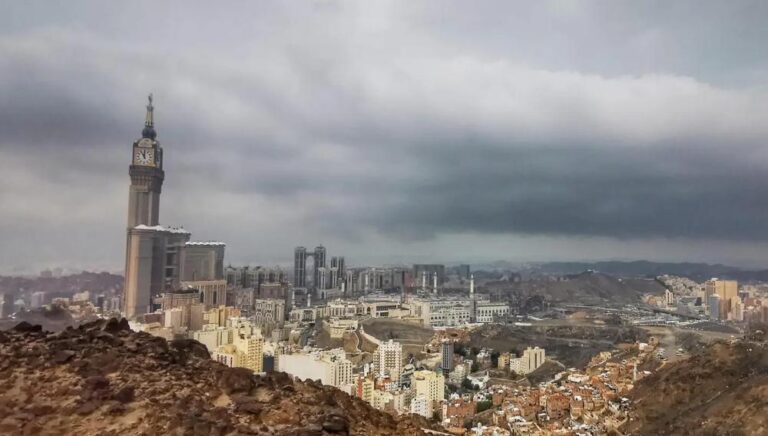 A6ec678d 9da0 4080 8d3d 0e84ede68abb file.jpg