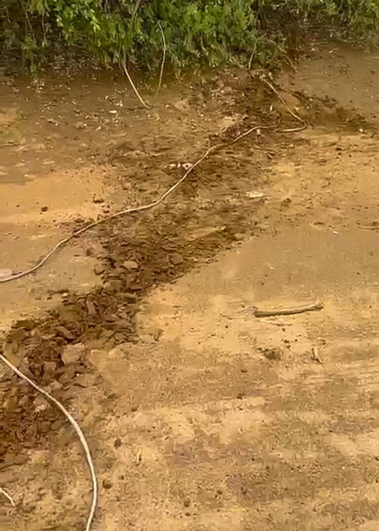 A921dc33 6b4d 4955 a73b 179e0e47ff94 file.jpg