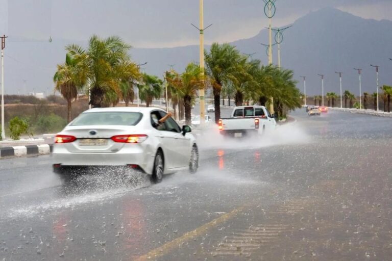 Ad740ea7 261d 4281 ab02 c2fd867a4563 file.jpg