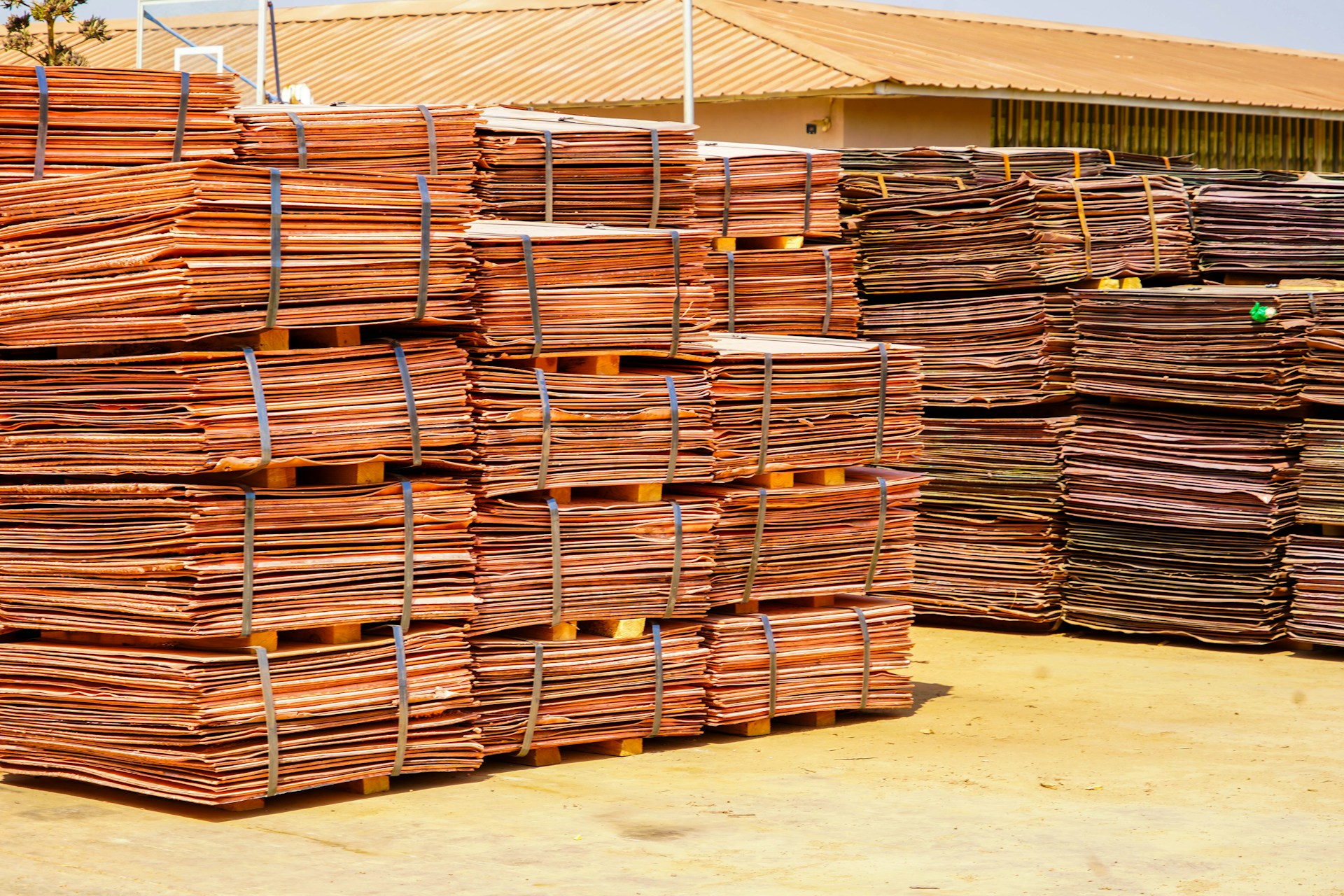 Adb34d2e 69fd 498a 9cff 52d8aef38775