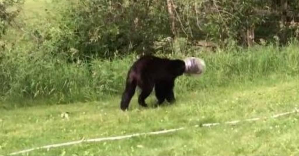 B11a7a7f a8ac 48aa 98c0 02cdd6f284b8 file.jpg