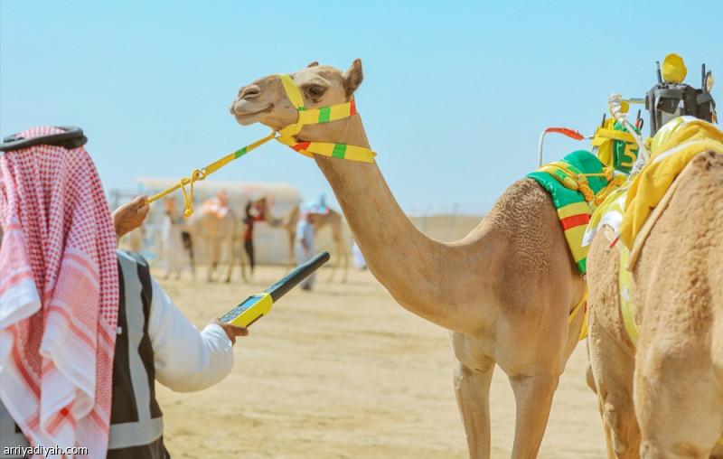 B6867952 dee8 4a89 9624 ad14a0c92174 file.jpg