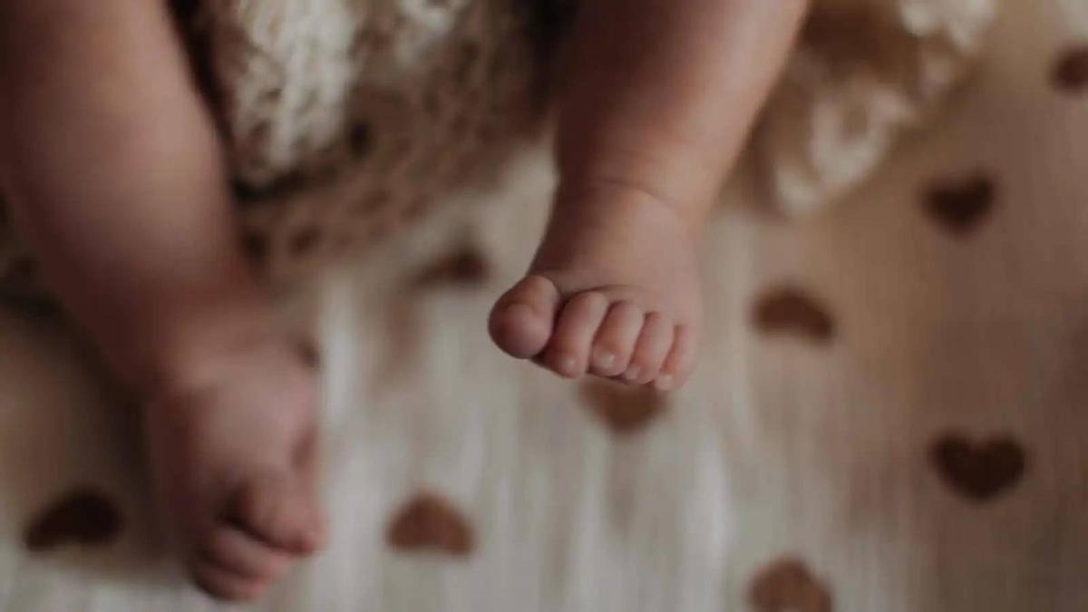 B7d4f62c a0af 4138 8c26 71bf5d43e069 file.jpg