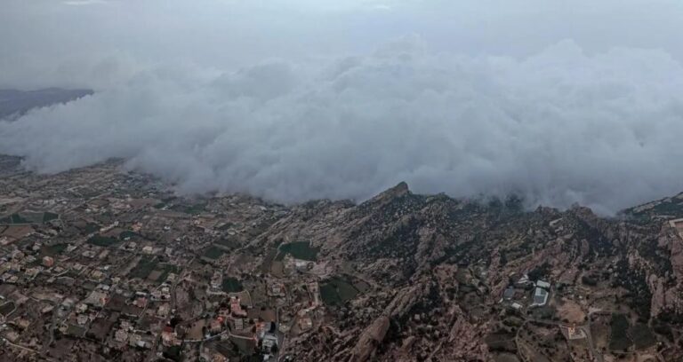 B8898276 df4e 4951 bea6 e904f55cf1ca file.jpg