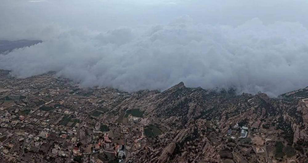 B8898276 df4e 4951 bea6 e904f55cf1ca file.jpg