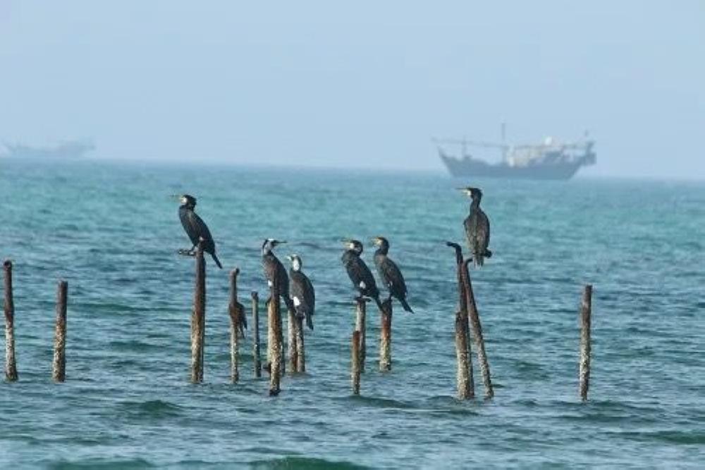 B9dc5213 adf3 479d 8f8a 37fd304093e6 file.jpg