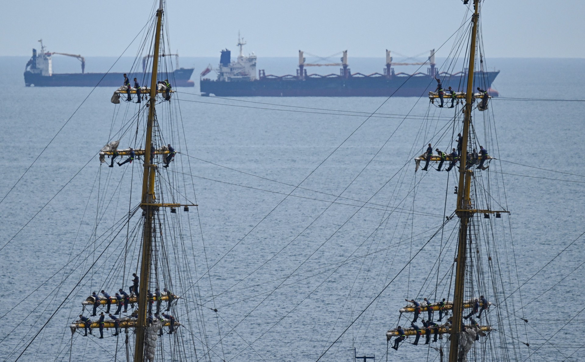 Ba79c4cc 91d3 4fad 973f ba633fb34844 file.jpeg